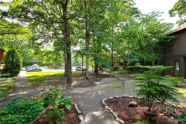 11602 E Briar Patch Dr Unit 11602, Chesterfield, VA 23113 - photo 3