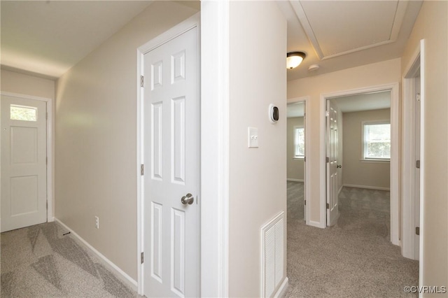 3100 Lifsey Ln, Chesterfield, VA 23832 - photo 19