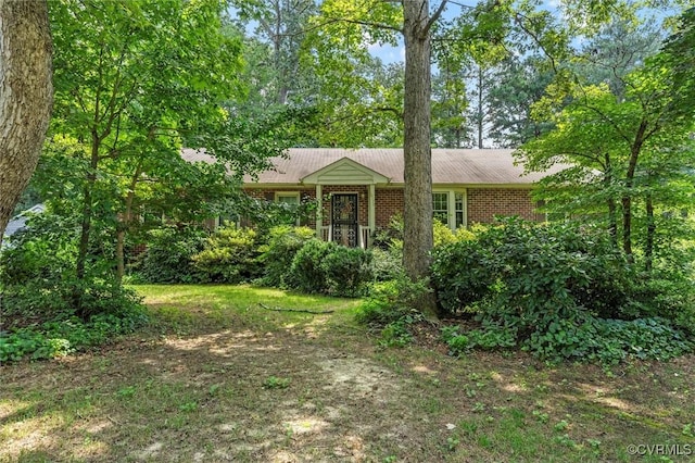 10170 Suzanne Dr, Mechanicsville, VA 23116 - photo 40