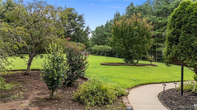 6360 Haleford Dr, Powhatan, VA 23139 - photo 50