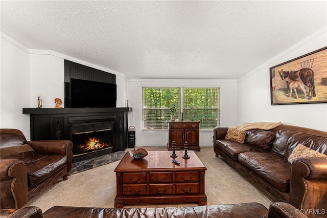 13303 Wilderness Ter, Amelia Courthouse, VA 23002 - photo 2