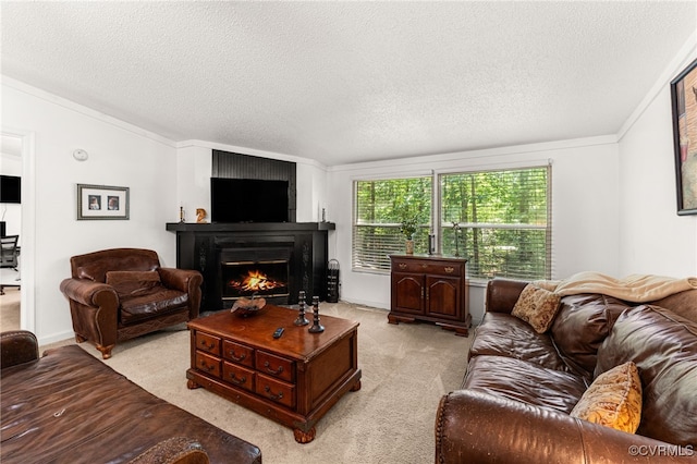13303 Wilderness Ter, Amelia Courthouse, VA 23002 - photo 4