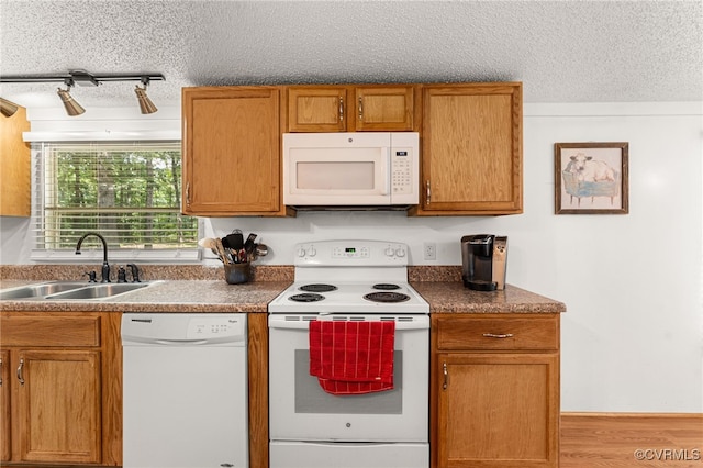 13303 Wilderness Ter, Amelia Courthouse, VA 23002 - photo 11
