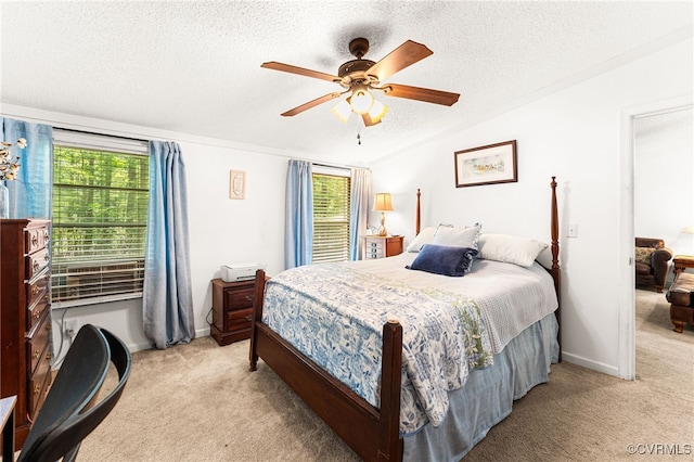 13303 Wilderness Ter, Amelia Courthouse, VA 23002 - photo 15