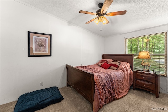 13303 Wilderness Ter, Amelia Courthouse, VA 23002 - photo 20