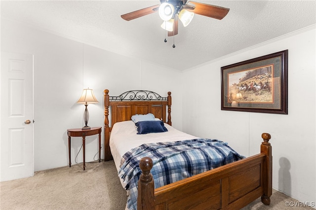 13303 Wilderness Ter, Amelia Courthouse, VA 23002 - photo 22
