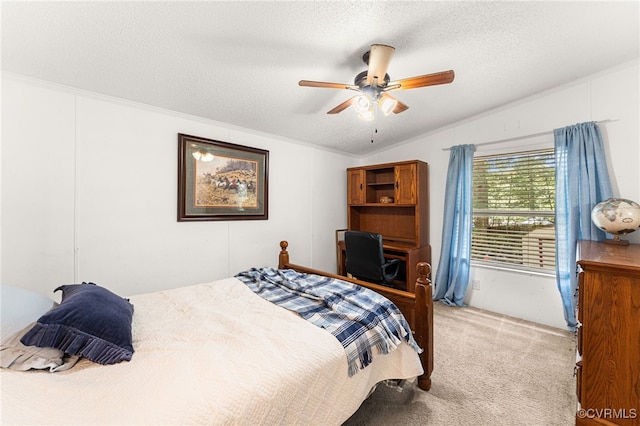 13303 Wilderness Ter, Amelia Courthouse, VA 23002 - photo 23