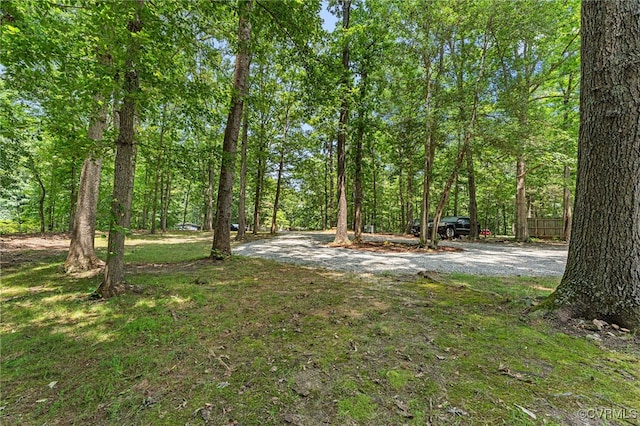 13303 Wilderness Ter, Amelia Courthouse, VA 23002 - photo 30