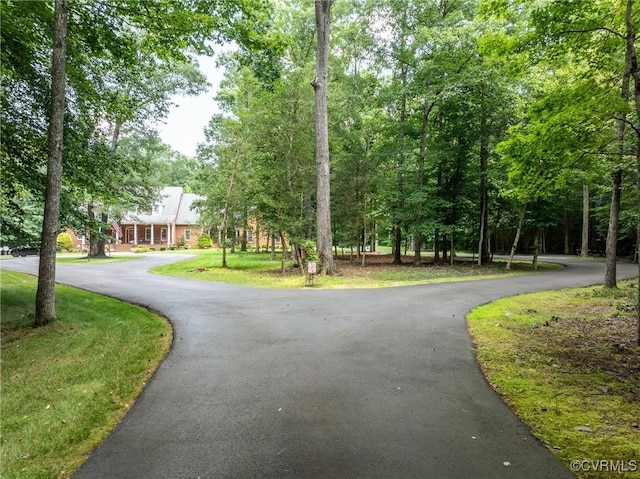 10100 Tripps Ln, Mechanicsville, VA 23116 - photo 2