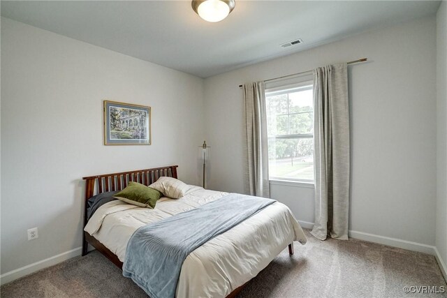 8174 Carriage Homes Dr, Henrico, VA 23294 - photo 23