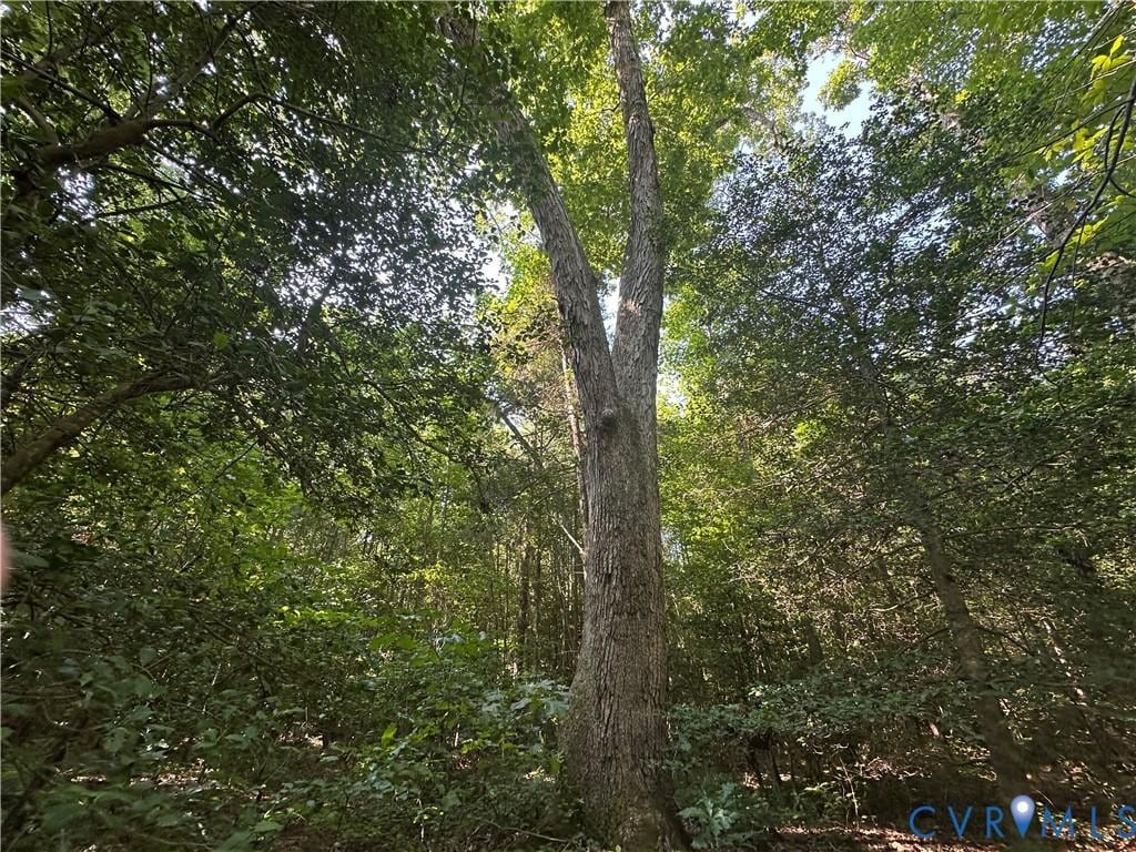 0-0 Kimages Rd, Charles City, VA 23030 - photo 1
