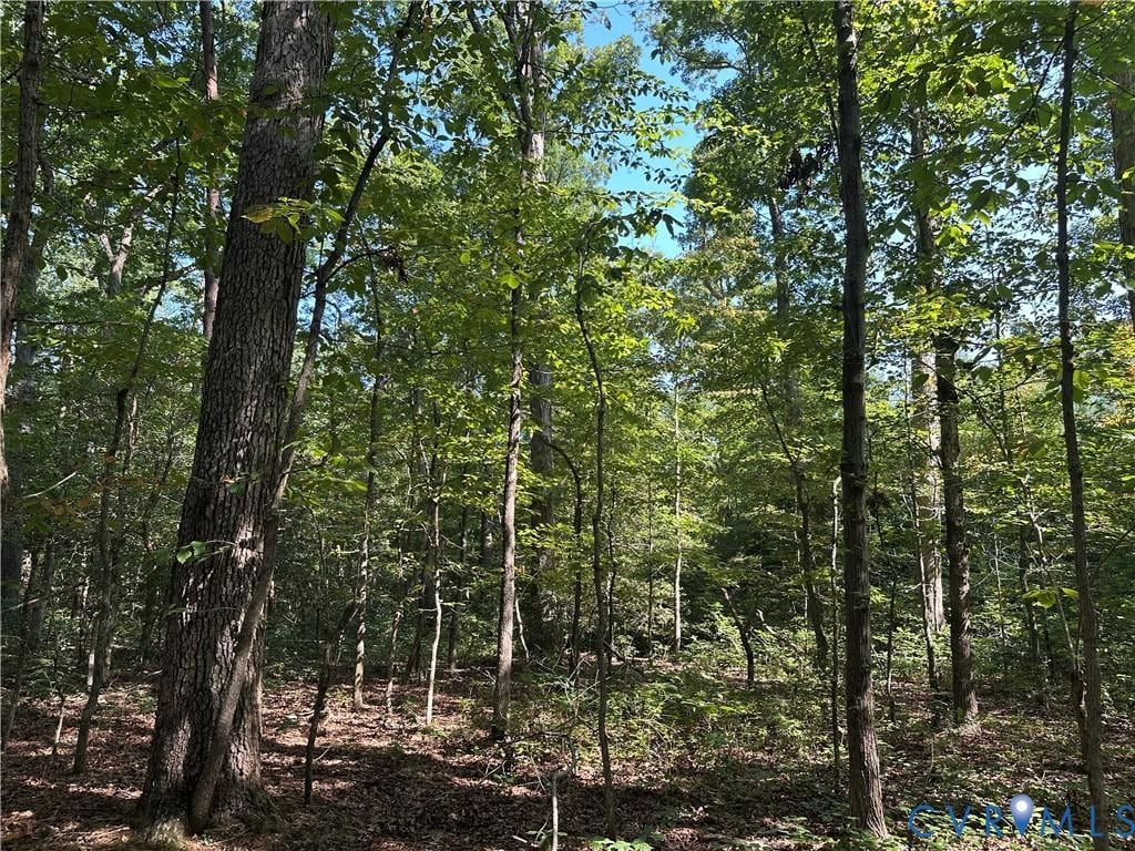 0-0 Kimages Rd, Charles City, VA 23030 - photo 2