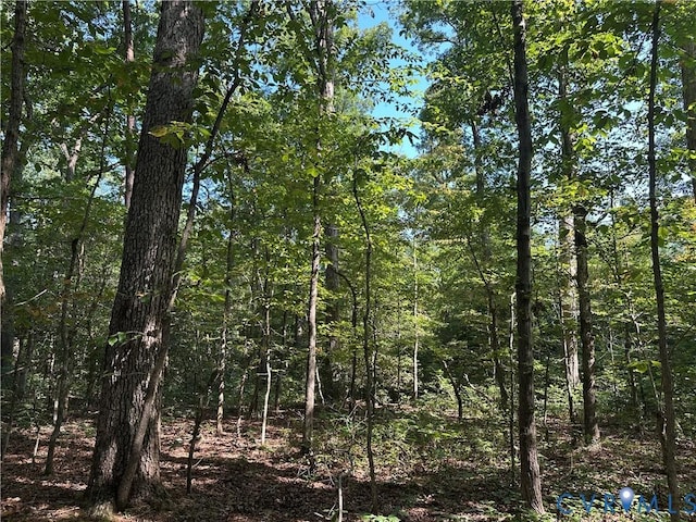 0-0 Kimages Rd, Charles City, VA 23030 - photo 2