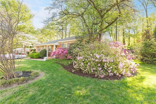 113 Flintlock Dr, Chesterfield, VA 23834 - photo 3