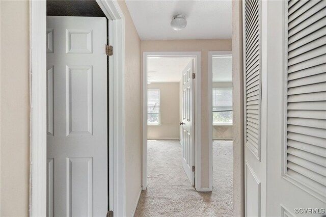 8422 Shannon Green Ct, Henrico, VA 23228 - photo 21