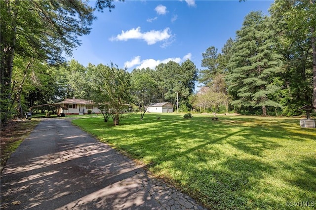 8420 Centennial Rd, Disputanta, VA 23842 - photo 34