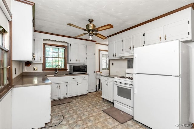 8420 Centennial Rd, Disputanta, VA 23842 - photo 10