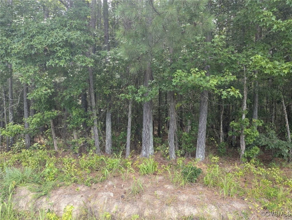 000 Little Mill Rd, Jarratt, VA 23867 - photo 1