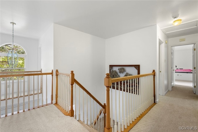 4807 Jacobs Glenn Dr, North Chesterfield, VA 23236 - photo 29