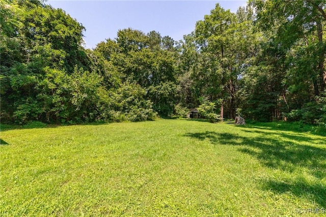 4221 Butler Ln, South Chesterfield, VA 23803 - photo 39