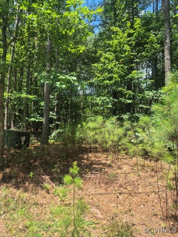 00 Hixburg Rd, Prospect, VA 23960 - photo 1