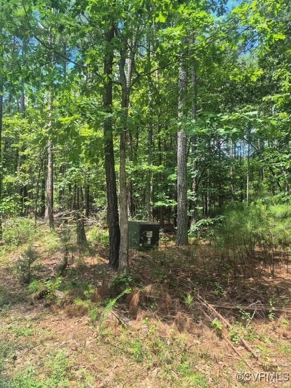 00 Hixburg Rd, Prospect, VA 23960 - photo 2