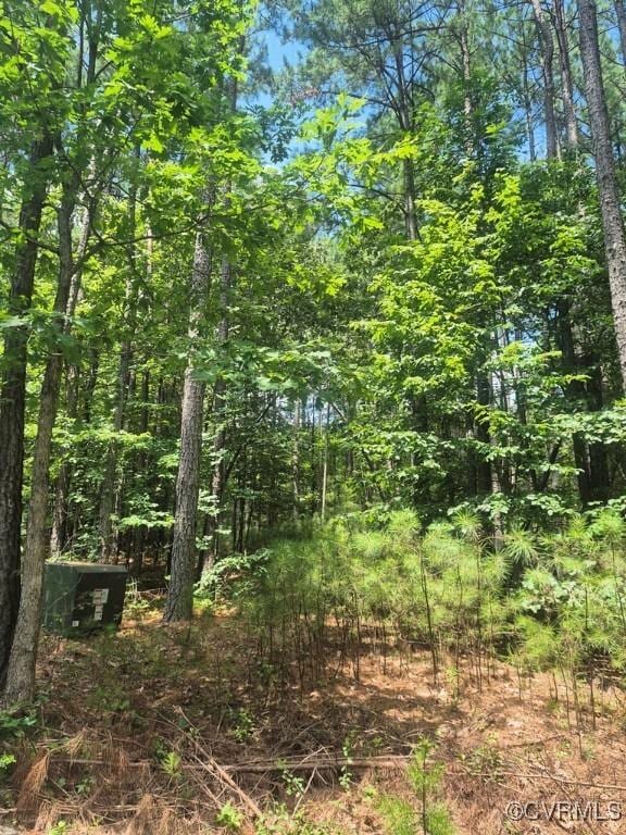 00 Hixburg Rd, Prospect, VA 23960 - photo 3