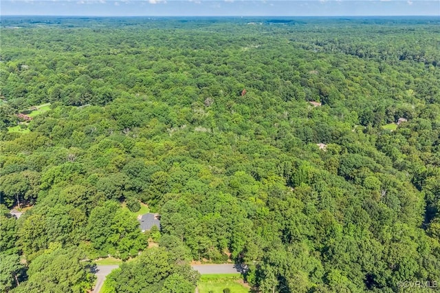 124 Londonderry Ln, Williamsburg, VA 23188 - photo 2