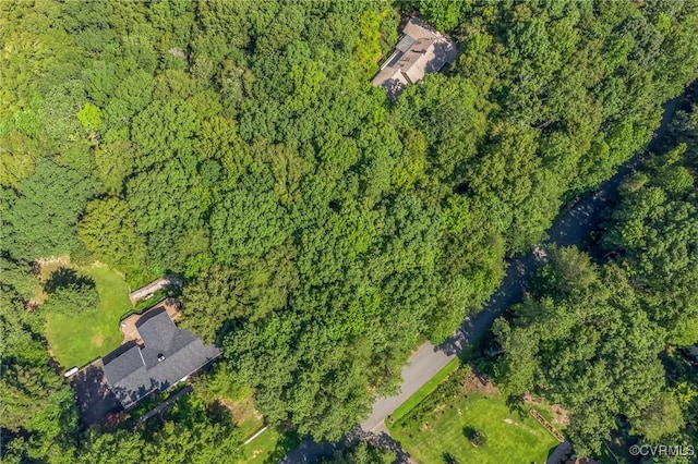 124 Londonderry Ln, Williamsburg, VA 23188 - photo 6