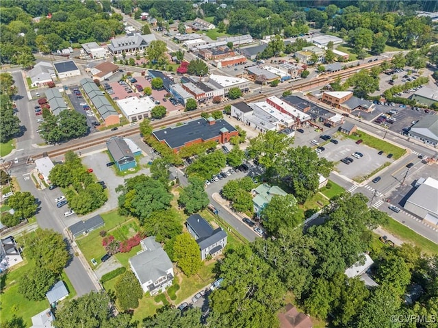 300 Virginia St, Ashland, VA 23005 - photo 47