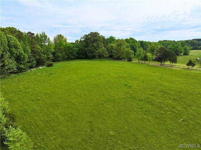 10229 Bill Tuck Hwy, Virgilina, VA 24598 - photo 30