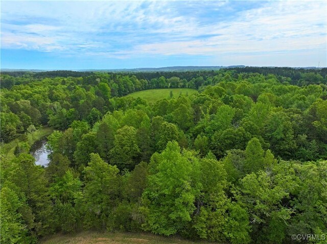 10229 Bill Tuck Hwy, Virgilina, VA 24598 - photo 38