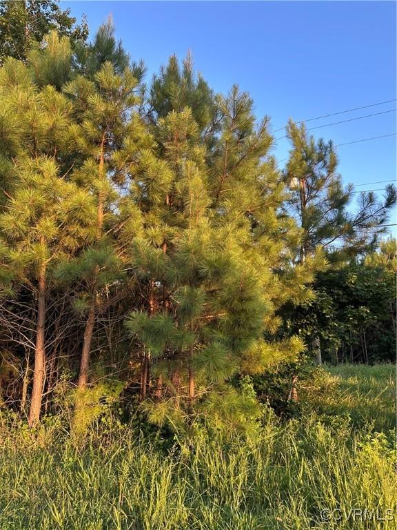 38-37 General Puller Hwy, Hartfield, VA 23071 - photo 8