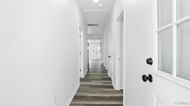 610 Gressett St, Petersburg, VA 23803 - photo 19