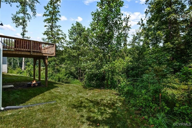 116 Leonard Way, King William, VA 23009 - photo 31
