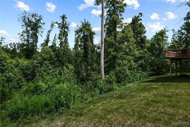 116 Leonard Way, King William, VA 23009 - photo 33
