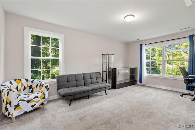 6415 Gaulding Rd, Hanover, VA 23111 - photo 33