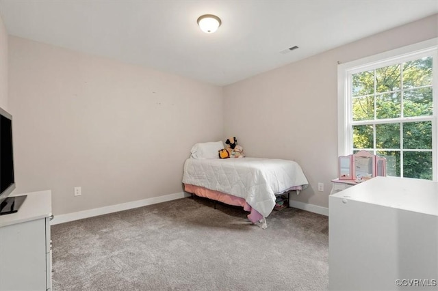 6415 Gaulding Rd, Hanover, VA 23111 - photo 28