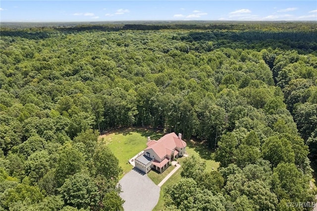 12095 Victoria Hills Rd, Hanover, VA 23146 - photo 41