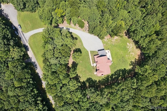 12095 Victoria Hills Rd, Hanover, VA 23146 - photo 43