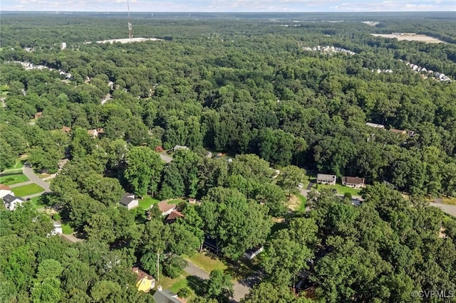2963 Maplevale Rd, Chesterfield, VA 23831 - photo 44