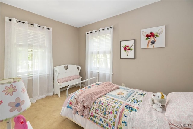 14600 Duck Cove Ct, Midlothian, VA 23112 - photo 34