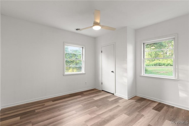 3806 Richmond Hwy, Wreck Island, VA 24593 - photo 29