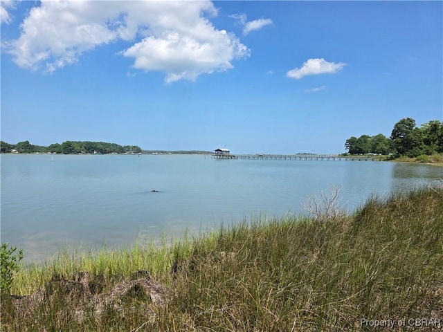 000 Horn Harbor Ave, New Point, VA 23125 - photo 1