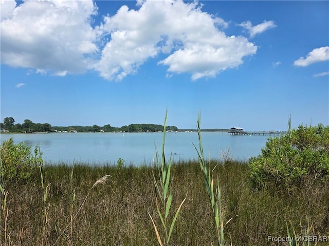 000 Horn Harbor Ave, New Point, VA 23125 - photo 2