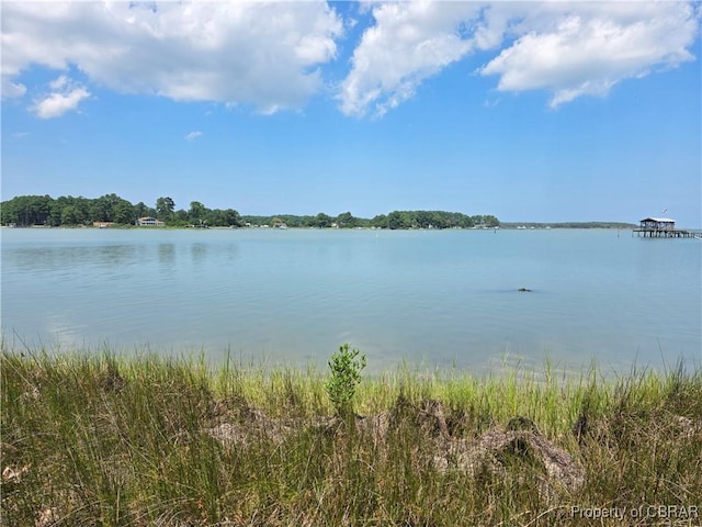 000 Horn Harbor Ave, New Point, VA 23125 - photo 3