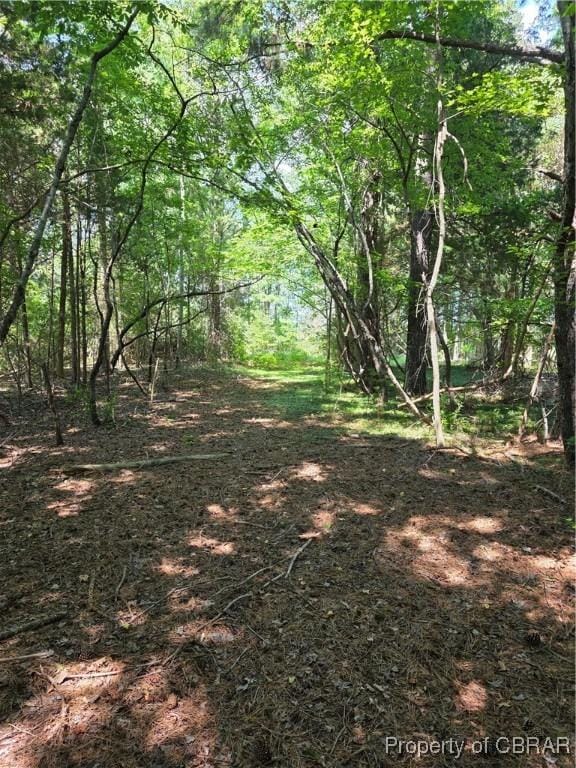 000 Horn Harbor Ave, New Point, VA 23125 - photo 5