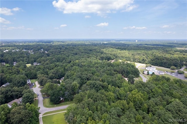13806 Rockharvest Ct, Chester, VA 23836 - photo 44