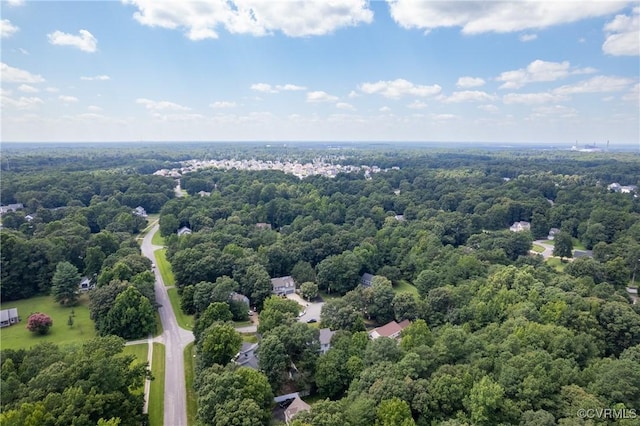 13806 Rockharvest Ct, Chester, VA 23836 - photo 45