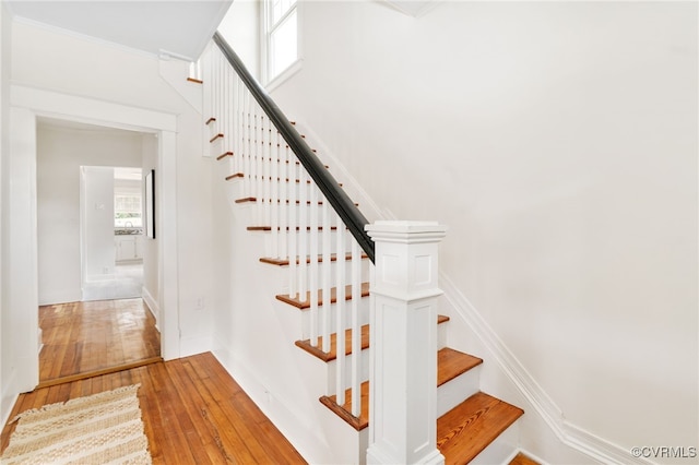 314 Cameron Ave, Colonial Heights, VA 23834 - photo 8